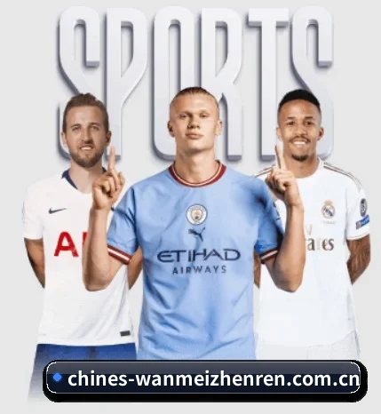 从比分速递到赛后复盘的完整链路(wanmeizhenren)